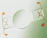 Crystalens is an intra-ocular lens that can adjust to the muscles of your eye